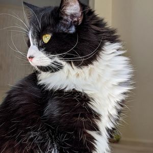 Meet your Posher, Ann